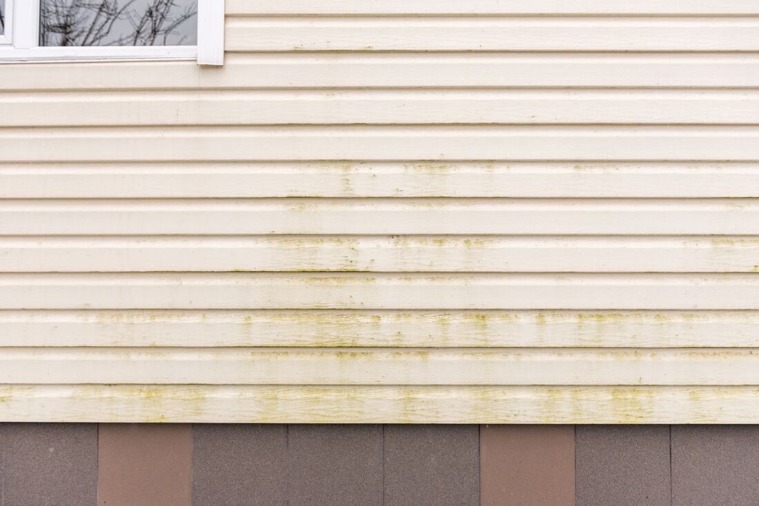 How To Remove Mold From Siding Planks KV construction LLC