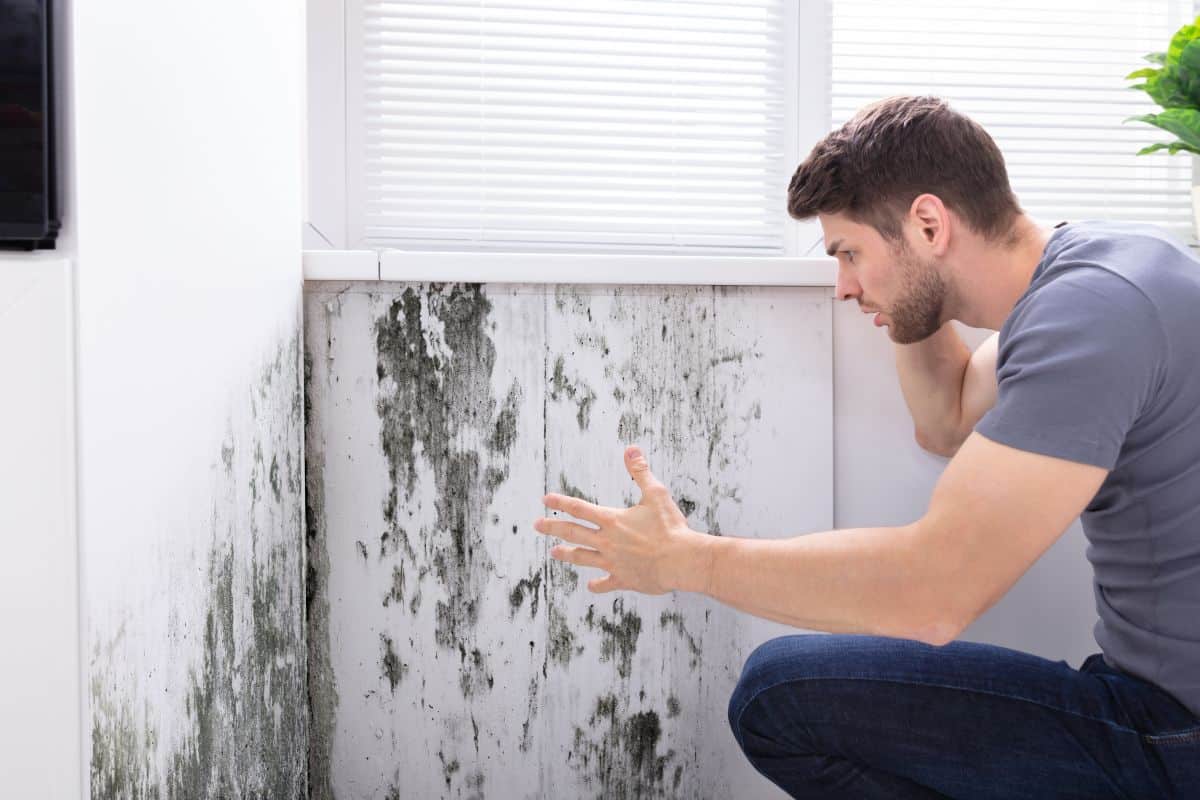 man looking at mold