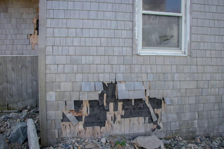 cedar siding damage