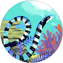 Matt D profile picture