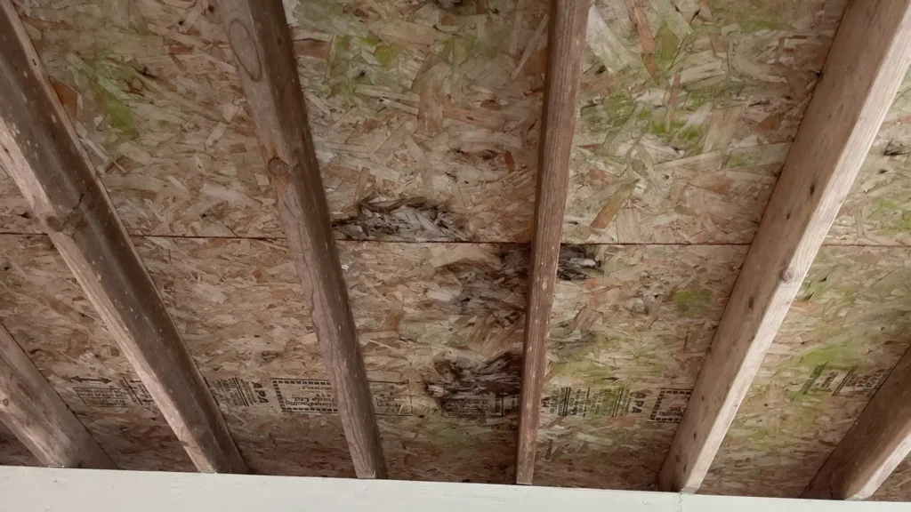 Weather barrier and flashing details on Lake Stevens exterior